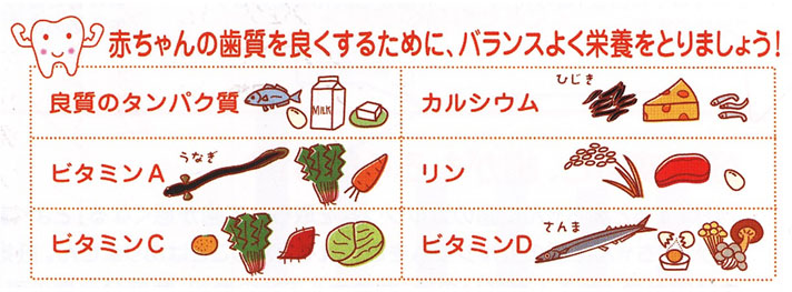 赤ちゃんがお腹にいる時から歯を強くする食べ物をとりましょう